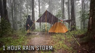 1 HOUR HEAVY RAIN STORM‼️LONG RAIN STORM WITH DEEP THUNDERS IN MY SOLO CAMPING‼️
