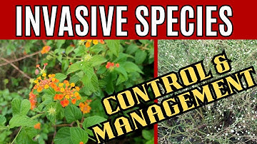 Control methods for Invasive species| Invasive species | Info Biodiversity