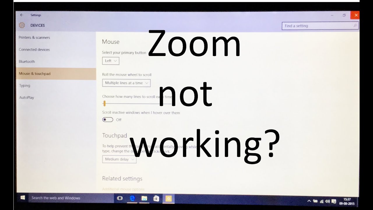 zoom app download win 10