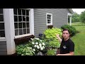 A Morning in the Shade Garden | Gardening with Creekside