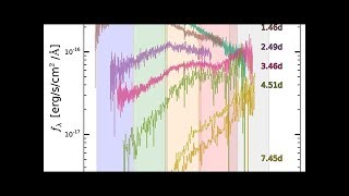 Early spectra of the gravitational wave source GW170817: Evolution of a neutron star merger