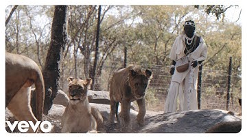 Segulm Nyaminyami - Mutinhimira (Official Music Video)