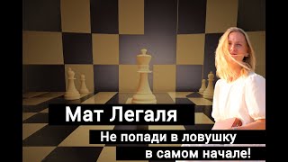 Мат Легаля: не попади в ловушку в самом начале!