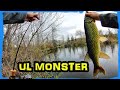 Caught a [ HUGE FISH ] Fishing my G Loomis IMX Ultralight spinning rod!