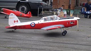 deHavilland Chipmunk Gas engine RC Warbird flight Video