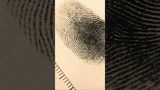 Help bring Missing Children Home. Resources to Keep your Children Safe (part 2) #missingchild