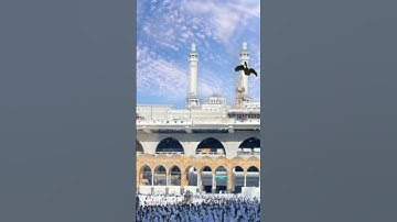 ايات من سورة البقرة تريح النفوس بصوت الشيخ سعود الشريم