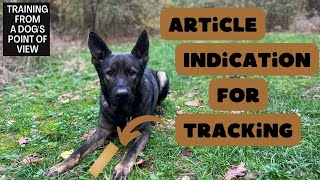 Dogtraining: Teaching Your Dog To Indicate Articles In Tracking (IGP)