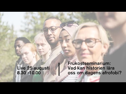 Video: Den amerikanska maffians doftande kollaps