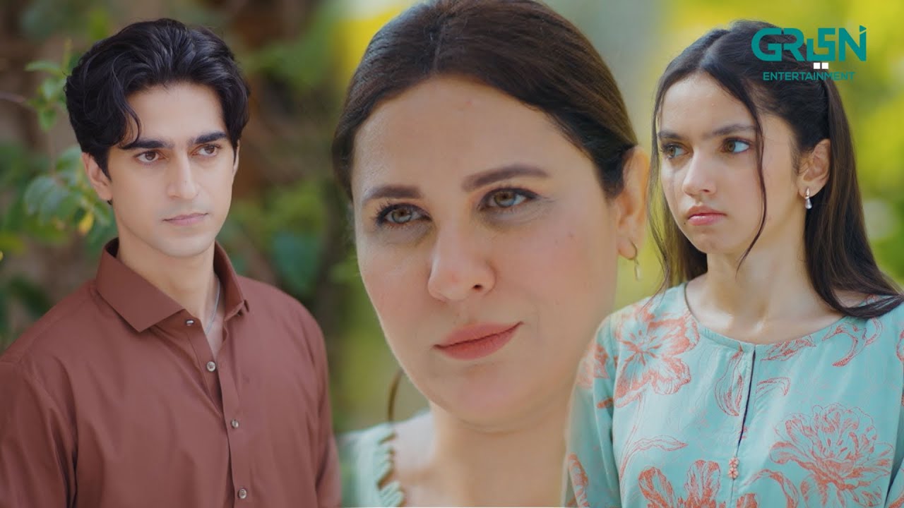 Dono Ne Mil Ke Malkin Ka Gharoor Torr Diya #ainaasif #ahmedrafique #maa #shortvideos #greentvdramas