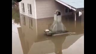 Потоп В Красногорске