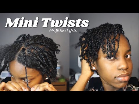 Mini Twists on Natural Hair  Twist Braids Hairstyles 