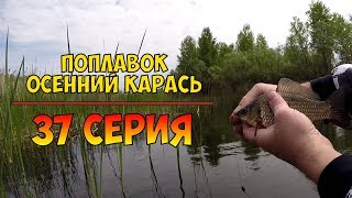 Серия 37. Поплавок. Осенний карась. Рыбалка с Нормундом Грабовскисом.