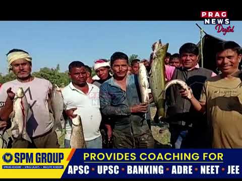 ভেৰগাঁৱৰ নাচনশালীত সমূহীয়া মৎস্য চিকাৰ, নাচনশালীৰ চিন্তাবিলত মৎস্য চিকাৰৰ আনন্দ