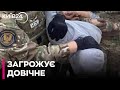 Демобілізований строковик ЗСУ шпигував за українськими військовими для РФ
