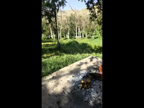 قرب لي الدله بقلم وصوت فهد رحيم النفيعي