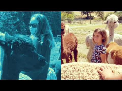 Seven Stars Ranch in Coeur d'Alene, Idaho