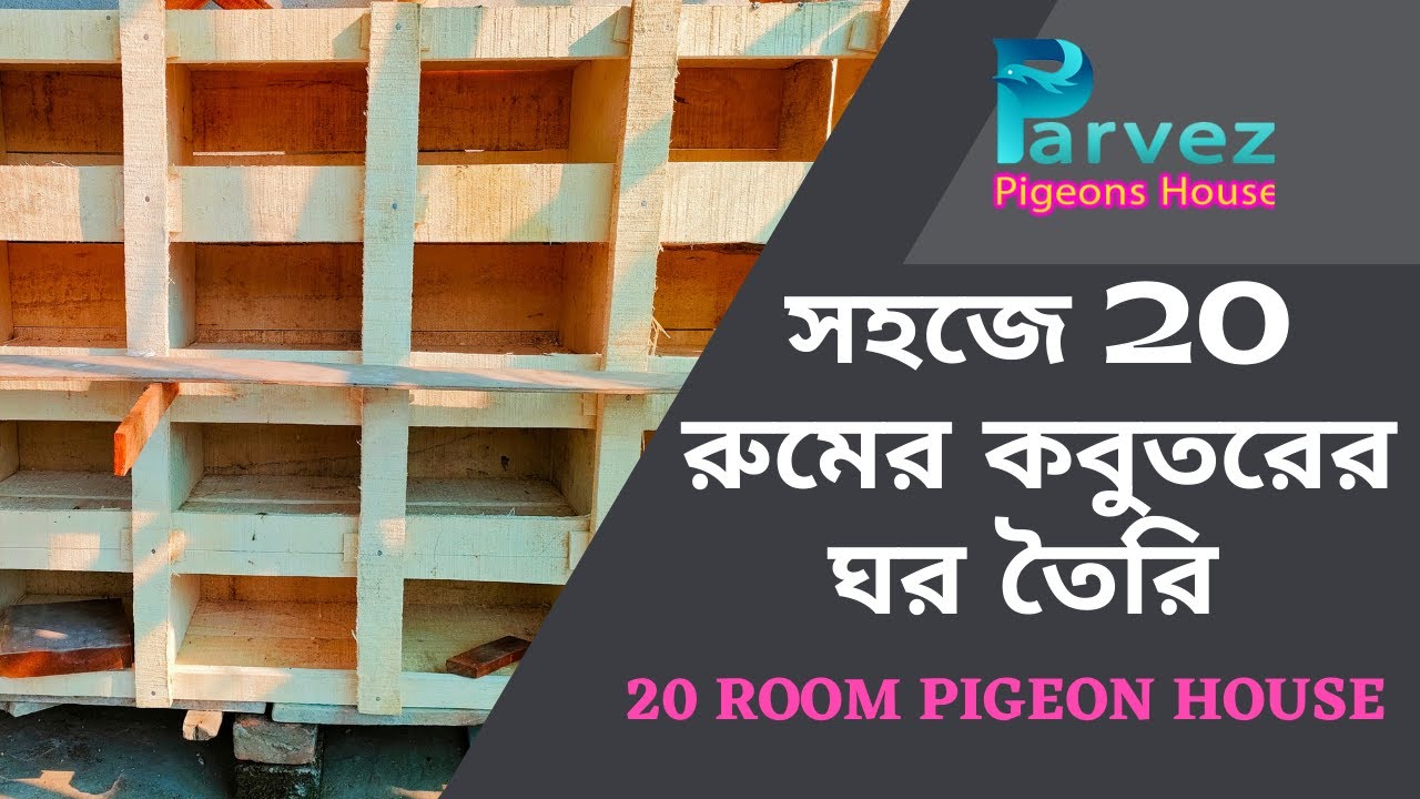 কিভাবে সহজে 20 রুমের কবুতরের ঘর তৈরি করবেন | How to easily build a 20 room pigeon House |
