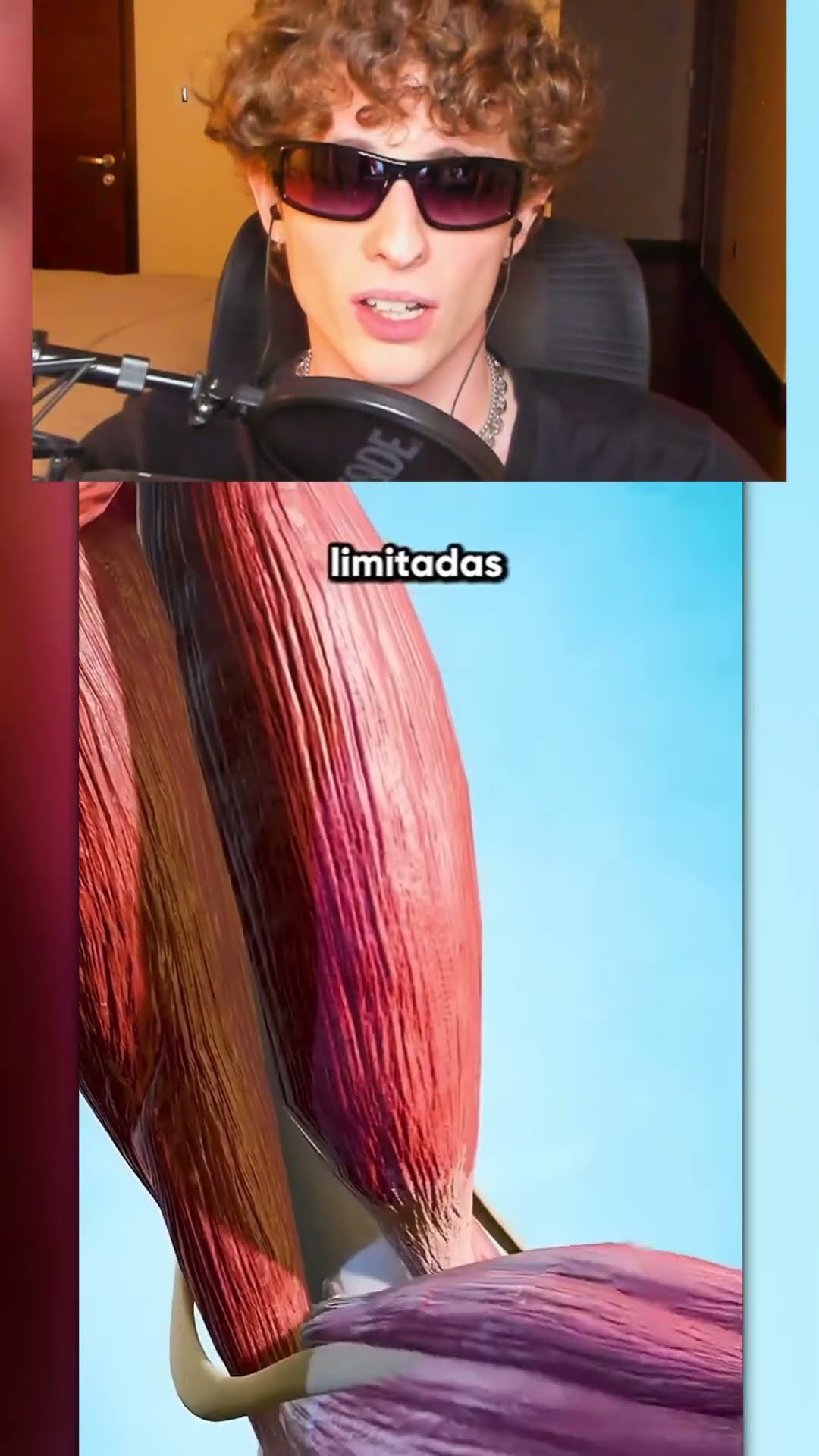 Por qué hay gente FLEXIBLE ?‍?