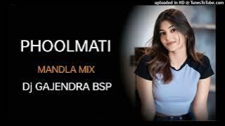 PHOOLMATI ।। FULL DJ SONG ।। MANDLA MIX DJ GAJENDRA BSP