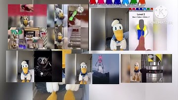 donaldducc up to faster 100 parison