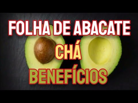 Nutrientes e benefícios do chá de folha de abacate