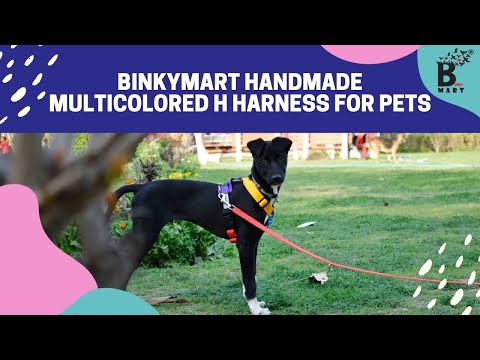 Binkymart Handmade Multicolored H Harness for Pets | Harness for Pets | Best Harness for Dogs - video from Binkymart