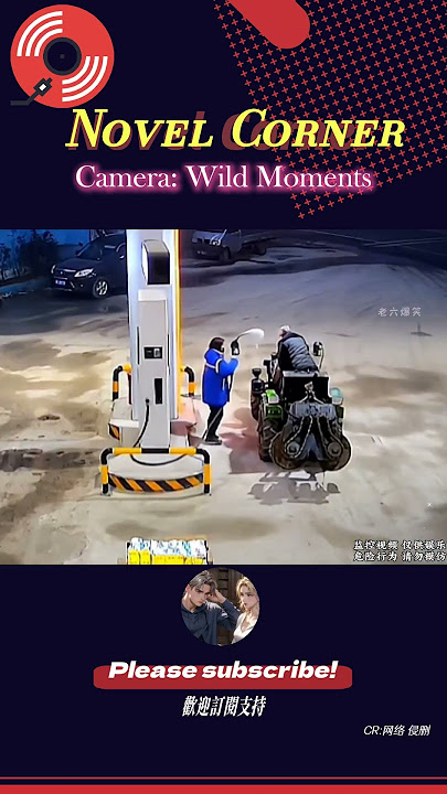 Where there's a Wolong, there must be a Fengchu within ten meters.#Funny