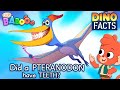 Learn dino facts about pteranodon  club baboo  half hour dinosaurs for kids  trex and more