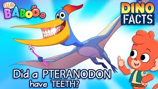Learn Dino Facts about PTERANODON | Club Baboo | HALF HOUR Dinosaur videos for kids | T-Rex and more