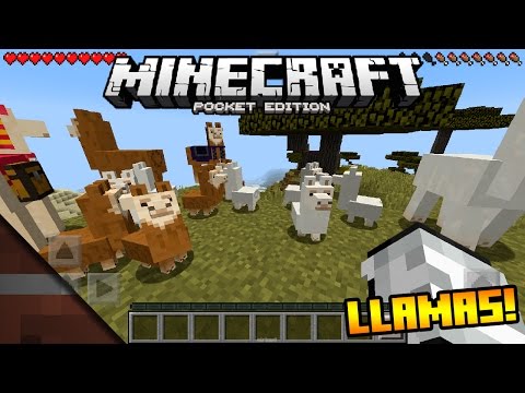 Llamas (Nuevos Mobs!) | Noticias Minecraft PE (Pocket Edition) 0.16.0/0.17.0 | Jeb