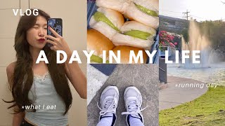 day in my life vlog ♡ | วันนี้กินอะไร/ไปวิ่งที่สวนสาธารณะ/เดินตลาดนกฮูก💫