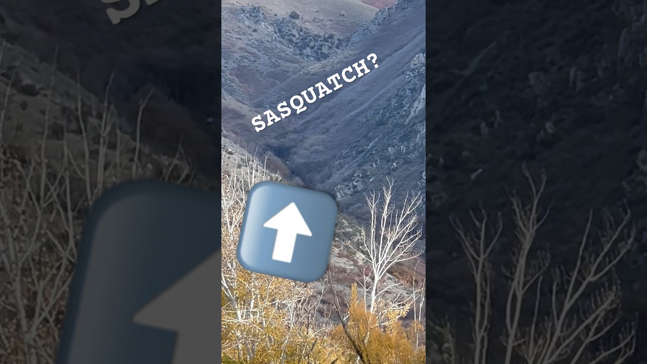 SASQUATCH / BIGFOOT sighting in UTAH? Mysterious howl- Sound UP 