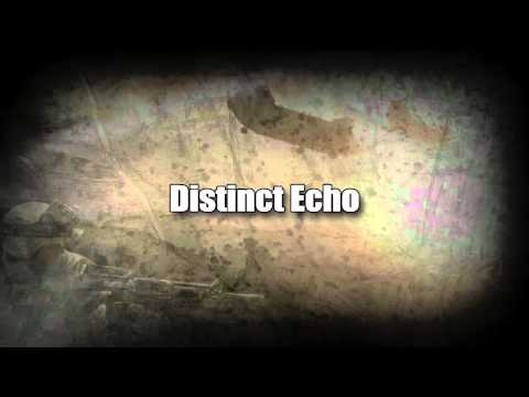 Distinct Echo Intro