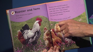 Early Literacy Asides Using The When We…Format and Factual Books