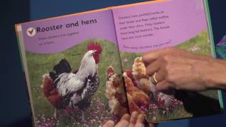 Early Literacy Asides Using The When We…Format and Factual Books