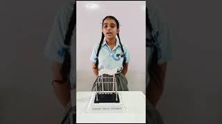 The Fascinating Physics of Newton's Cradle