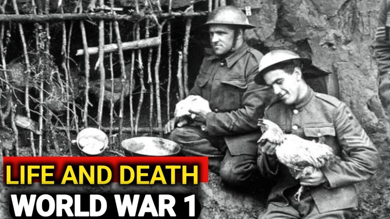 Life and Death in the Trenches of World War 1 | WW1 Trench Warfare ...