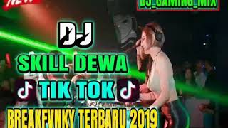 DJ GAMING MIX SKILL DEWA TIK TOK BREAKFVNKY TERBARU 2019