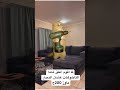 عاتي ال200ج ياست الحبايب اكسبلور النسويه حالات واتس Funny كوميديات ترند Cat ضحك 