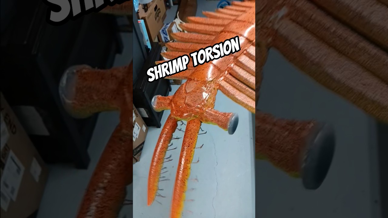 Shrimp vs the Great Mage 3 