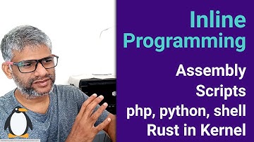 x263 Inline Programming | Assembly | Scripts | php, python, shell, etc | Rust in Linux Kernel