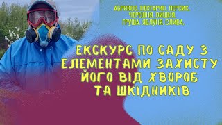 Абрикос 🍑 | Нектарин | Персик | Вишня 🍒 Черешня | Груша  🍐 Яблуня  🍎|Слива | Захист