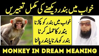 Khwab Mein Bandar Dekhna || Monkey In Dream Meaning || Khwab Mein Bandar Dekhne Ki Tabeer