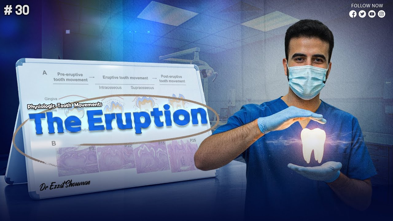 eruption of teeth 