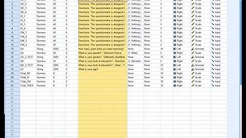 Cleaning and labeling survey data from Qualtrics in SPSS TSES
