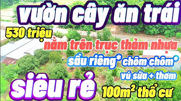 Hot💥mặt tiền thảm nhựa trục lớn - vườn cây ăn trái đủ loại - có 100m²tc + giếng khơi 💥chỉ 530 triệu💢