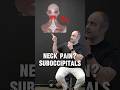 Neck Pain? Could be you suboccipitals!