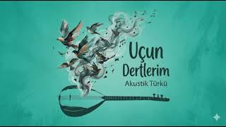 Uçun Dertlerim Akustik Dertli Türkü Karizma Yorum