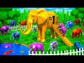 Golden Elephant House Adventure Farm Animals Vs Wild Animals